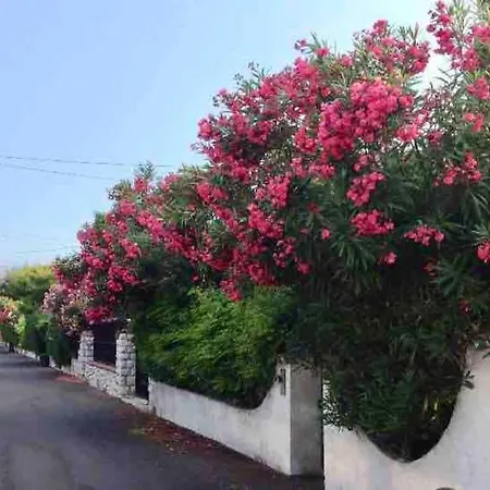 Proche Plages Juan Les Pins Petit Dans 公寓