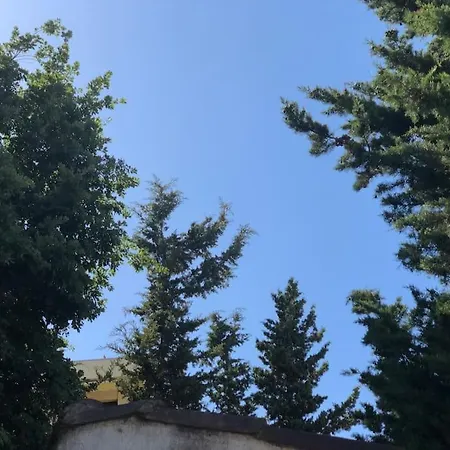 公寓 Proche Plages Juan Les Pins Petit Dans 昂蒂布